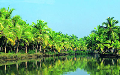 nanital tour packages