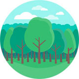 forest camps